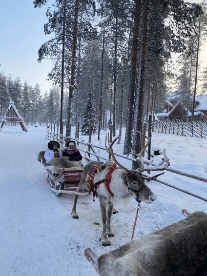 Santa Claus Reindeer