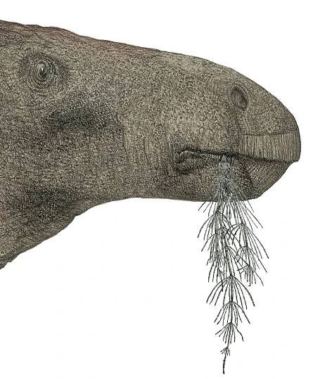 The most complete UK dinosaur in a century found on the Isle of Wight