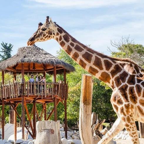 Madrid: Vstupenka do Zoo Aquarium Madrid | GetYourGuide