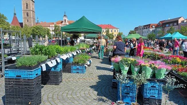 Trh na náměstí Jana Žižky z Trocnova v Čáslavi
