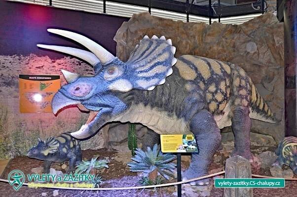 DinoPark Plaza Liberec (6CZ-015): Výlety a zážitky