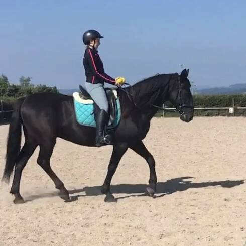 Equitation in balance - Kateřina Toušková - Soustředění