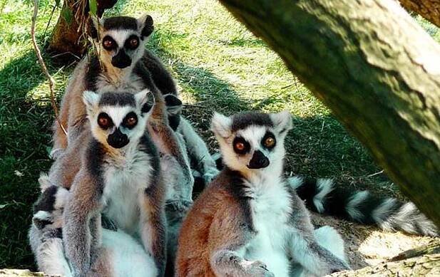 ZOO Zájezd