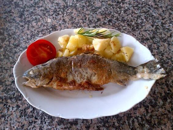 Recept - pstruh na másle - Zajímavosti ze světa