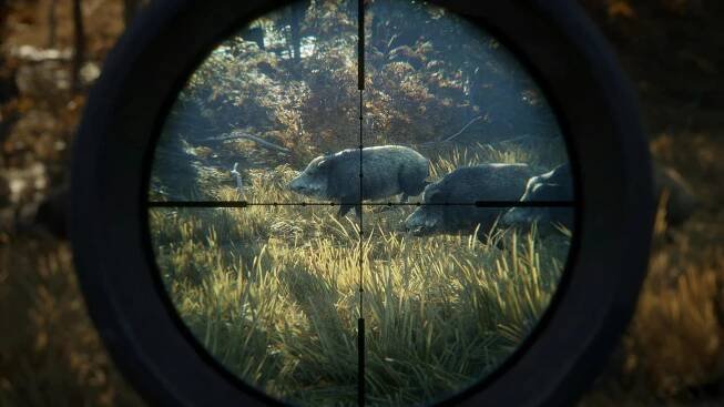 The Hunter: Call of the Wild Review – Patience Is A Virtue