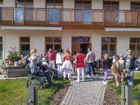 Koně ze stáje Nádraží Žernovka | Alzheimer Home