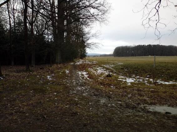 Temný Branišovský les: Duchy nenašli, hřbitov zvířátek ano