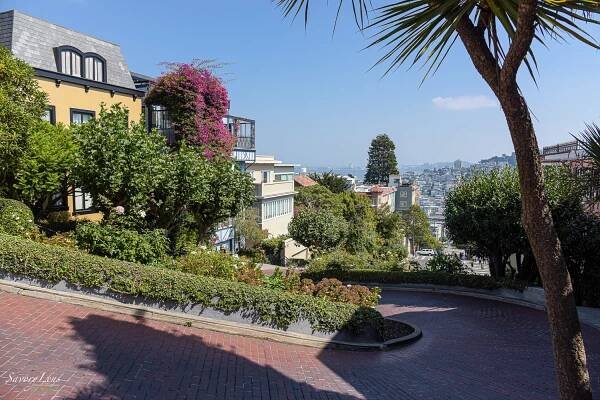San Francisco - Sehenswürdigkeiten und Attraktivitäten – SavoryLens