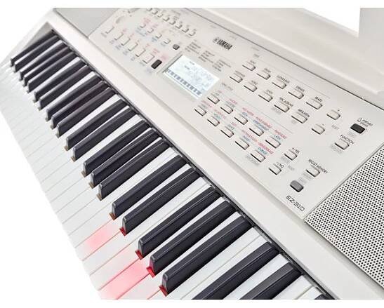 Yamaha EZ-310