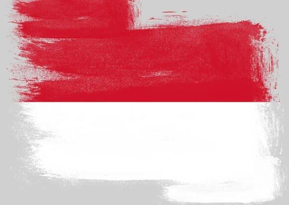 indonéská vlajka - indonéská vlajka - stock snímky, obrázky a fotky