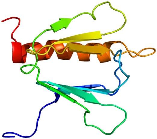 GTF2H1 - Wikipedia