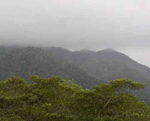 Maya Mountains