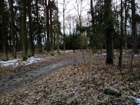 Temný Branišovský les: Duchy nenašli, hřbitov zvířátek ano