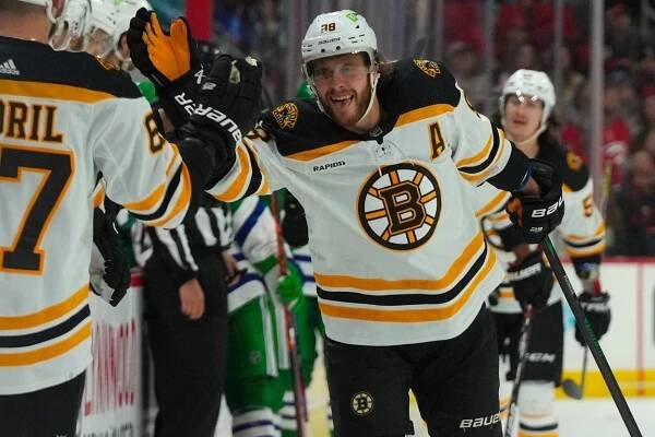 Hokejista David Pastrňák - životopis, NHL, smlouva a plat