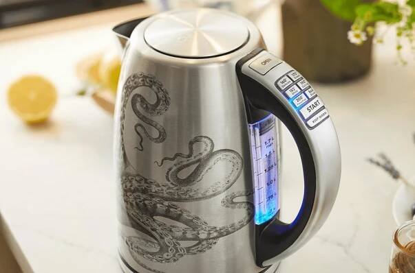 Cuisinart Caskata Cordless Programmable Kettle.