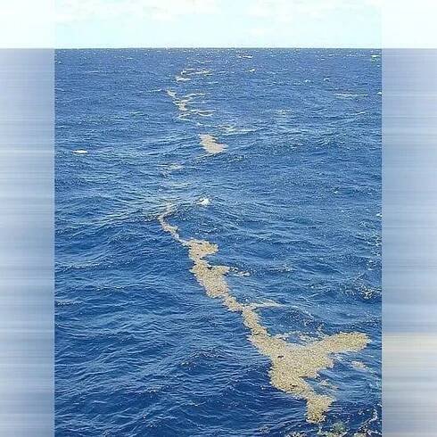 Ghost Ships Sail The Wide Sargasso Sea
