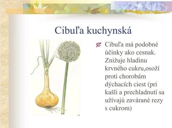 PPT - Liečivé rastliny PowerPoint Presentation, free download - ID:3528196