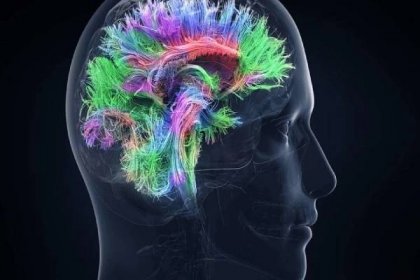 Neurologové objevují novou skrytou oblast lidského mozku.