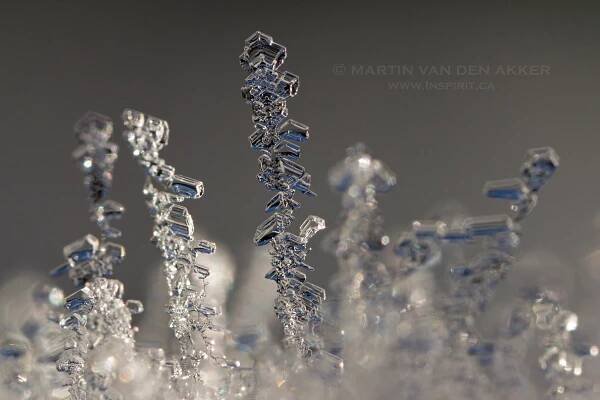 Popular Nature Photographers | Nature Photographers | Photography Slide Show | Snow Photographers | Martin van den Akker