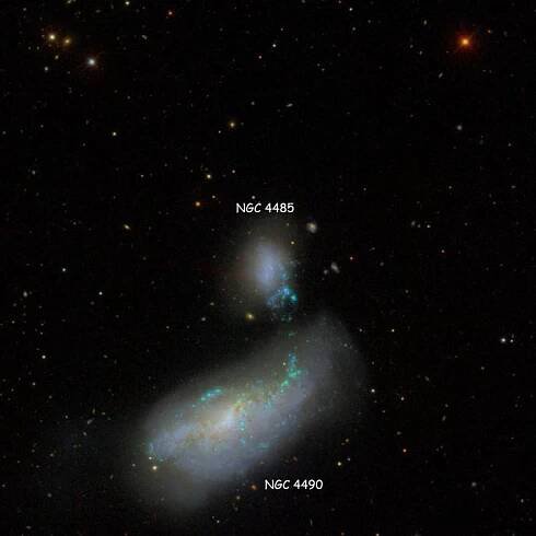 SDSS image of region near irregular galaxy NGC 4485, alsow showing NGC 4490, with which it comprises Arp 269