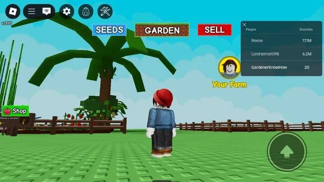 I played Roblox ‘Grow a Garden’ to see why it's the most popular game on the internet –...