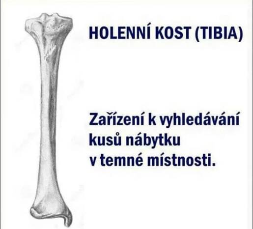 ze života (str. 12) - Vtipy - Fórum - Škoda klub