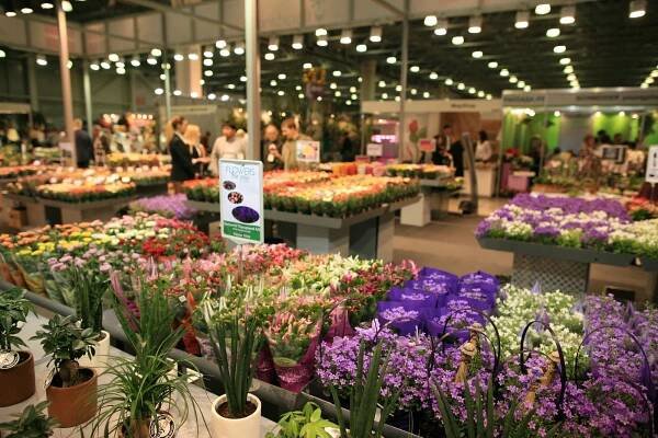 FlowersExpo - FlowersExpo - Exhibitions - English - Flowers-Expo.ru