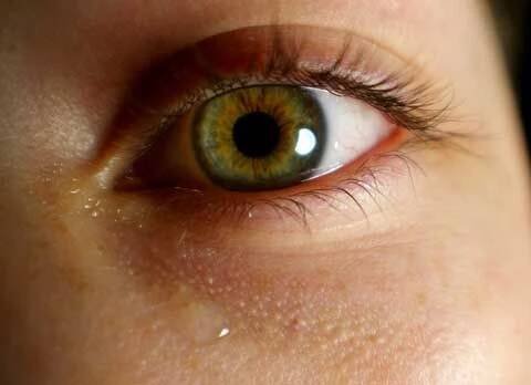 Hot Stuff? 10 Unusual Sexual Fixations | Paraphilias | Live Science