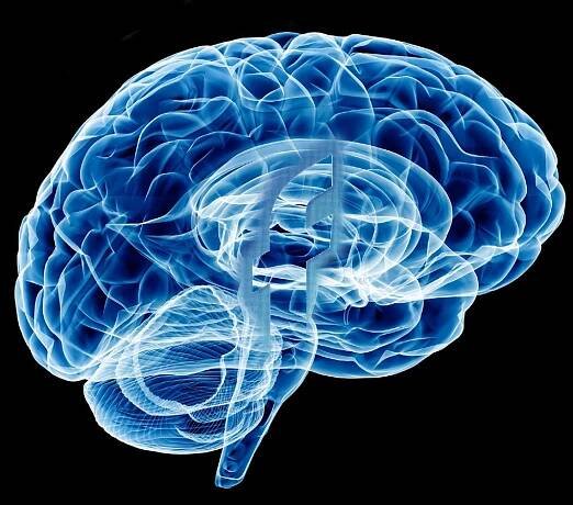 New brain-computer interface transmits thoughts to words in record time