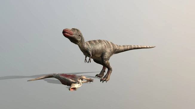 Gorgosaurus Eating - Download Free 3D model by Nobilis (@nobilishornet)