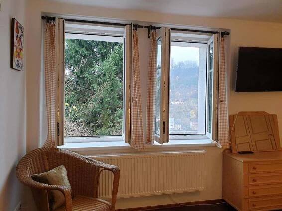 Výhled z okna - apartmán k pronajmutí Jáchymov - foto 11