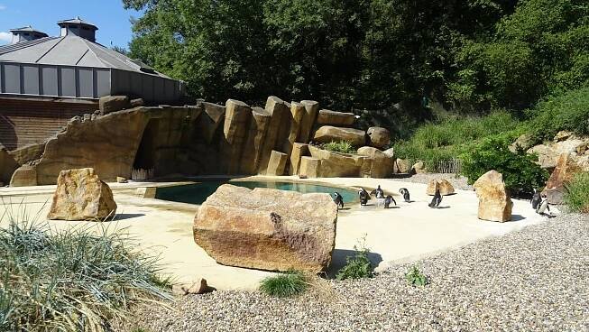 Fotografie - Zoo Ústí nad Labem - 09.08.2022