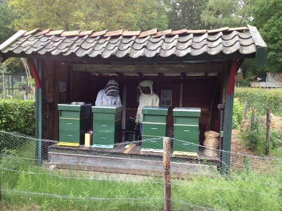 Imkers en bijen