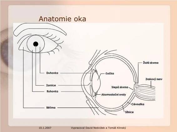 PPT - Lidské oko PowerPoint Presentation, free download - ID:5161556
