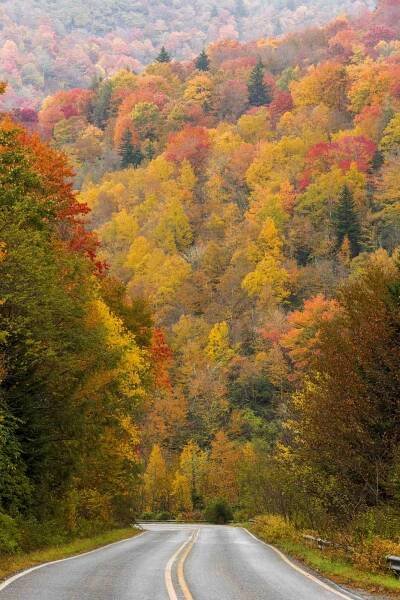 North Carolina Fall Color