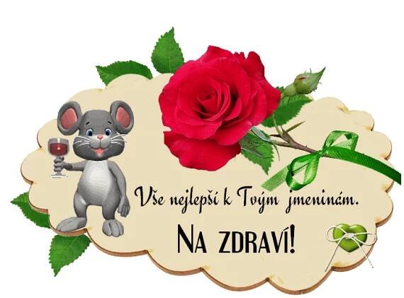 prani_k_svatku_jmeninam_3