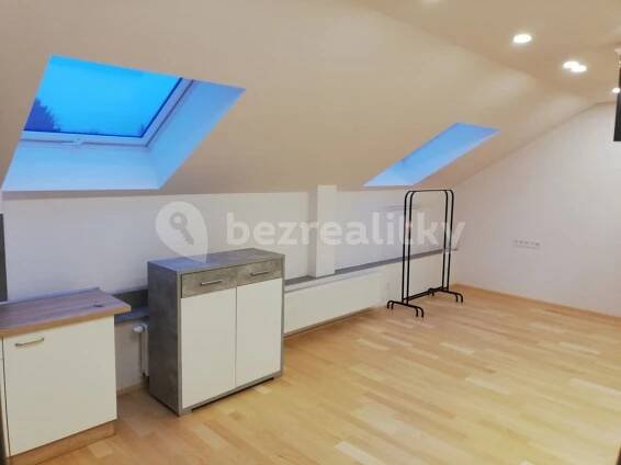 Pronájem bytu 1+kk 35 m², Nerudova, Hradec Králové, Královéhradecký kraj