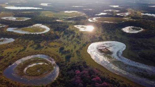 Pantanal, brazilský přírodní zázrak (2021)