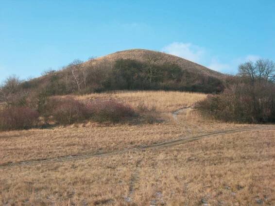 Holý vrch u Sutomi - Třebenice, České Středohoří a Žatecko
