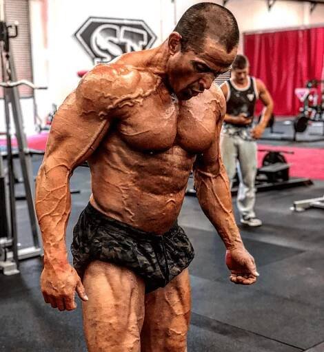 Carnivore diet