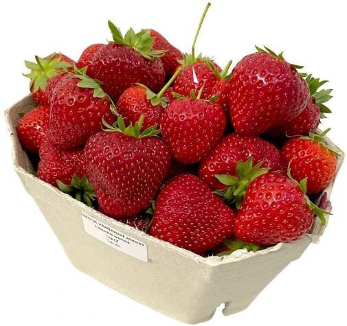 Jahody čerstvé (Vraňany – farma Hanč), vanička
