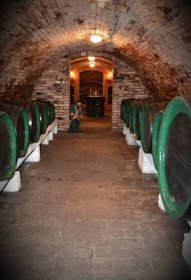 Vinný sklep, pronájem chalupy Mutěnice - ubytování Jižní Morava, 7959