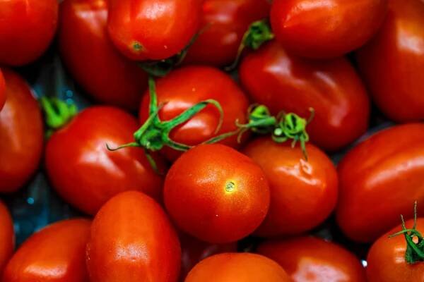 Základová fotografie na téma barevný, bohatý, celá rajčata, čerstvý, červená, cherry rajčata, dědictví rajčat, domácí, farma