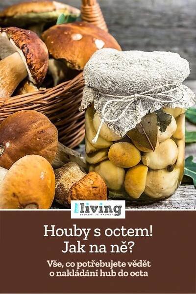 Jaké houby se nejvíc hodí do octa? Houby na kyselo zavařte v troubě nebo naložte s česnekem a cibulí