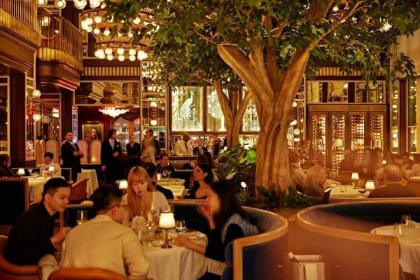 Diners sit under a pair of trees in the center of a large, formal dining room.