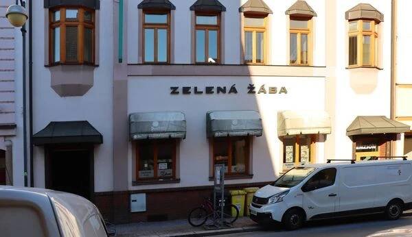 Restaurace Zelená Žába foto 6