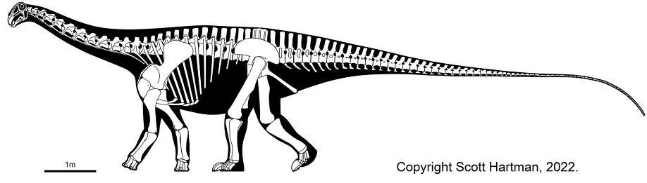 Nigersaurus taqueti