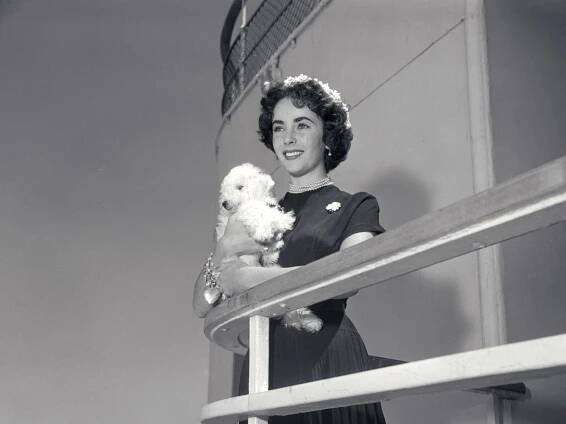 Mary McCartney to curate exhibition of photos from Cunard archives