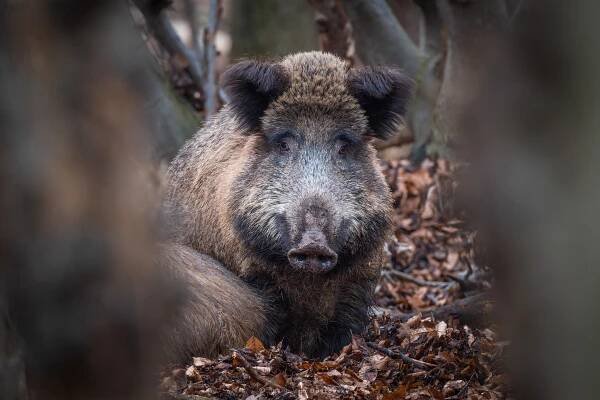 Fotogaléria - Vlasto Opatovský