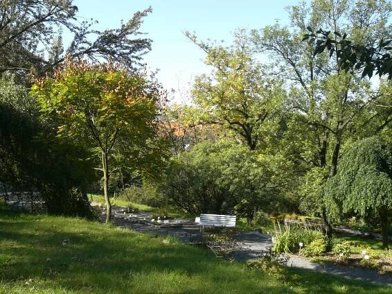 Botanická zahrada na pražském Albertově: Původně sídlila na Smíchově. Proč ji přestěhovali?